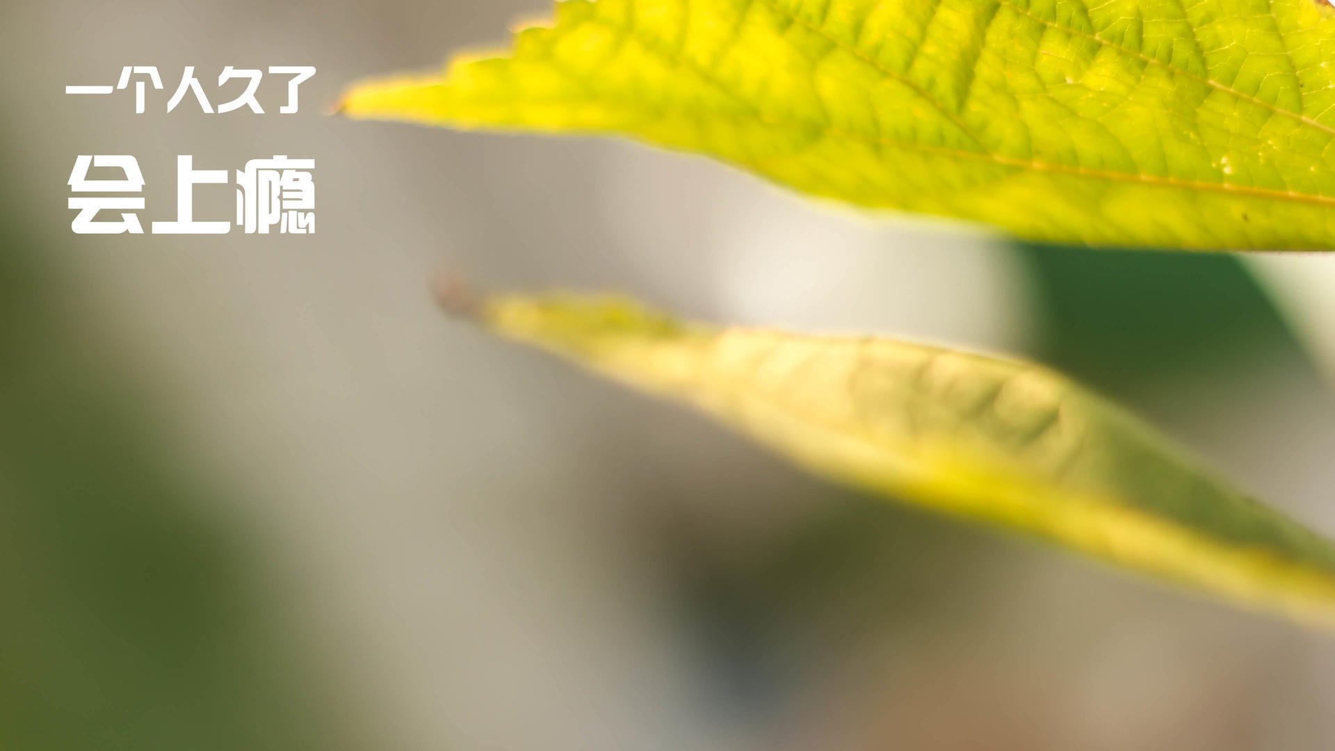 评论:亚特兰大力挫对手,晋级欧冠四强!,亚特兰大 欧冠四强