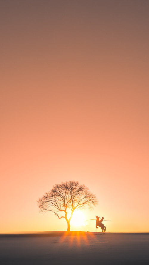 非洲篮球裁判培训提升专业水平,非洲篮球联赛视频