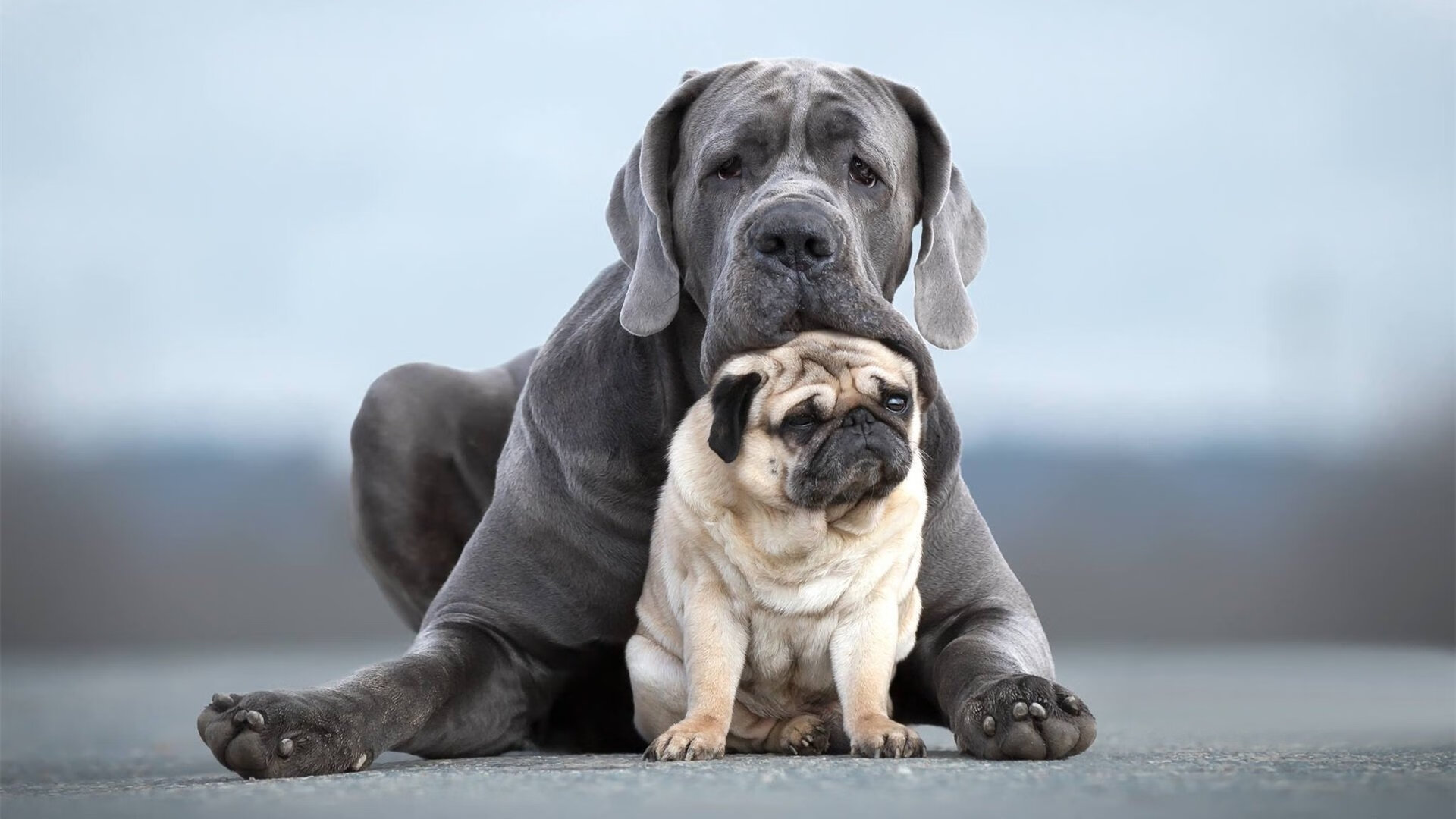 爱游戏娱乐网址-NBA赛季关键比赛分析，nba赛季赛制