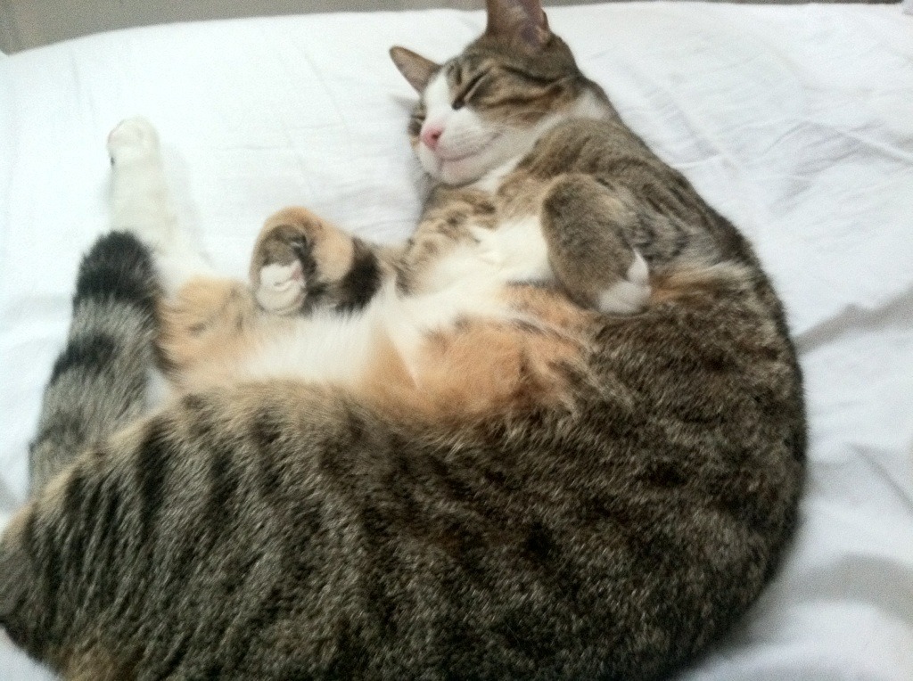 NBA赛季关键比赛分析,nba赛季赛制