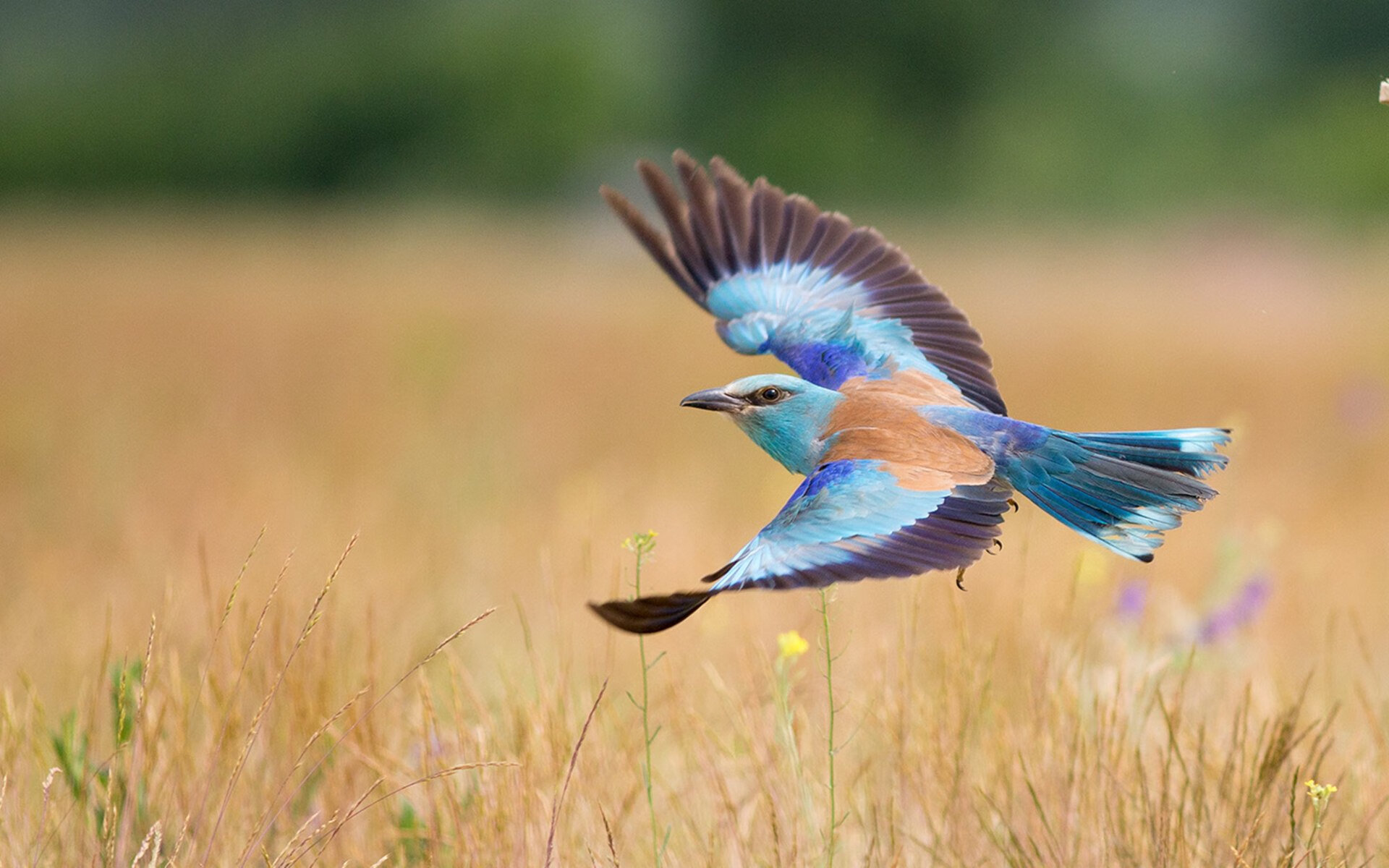体育场馆智能化照明节能改造项目,体育场馆智能化照明节能改造项目计划书