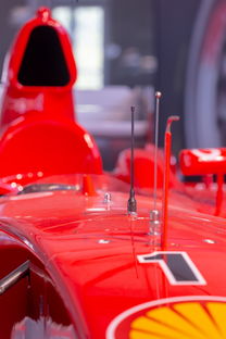 爱游戏体育（AYX）官方APP下载-全国青少年旱地冰球锦标赛在哈尔滨精彩展开，旱地冰球比赛时间