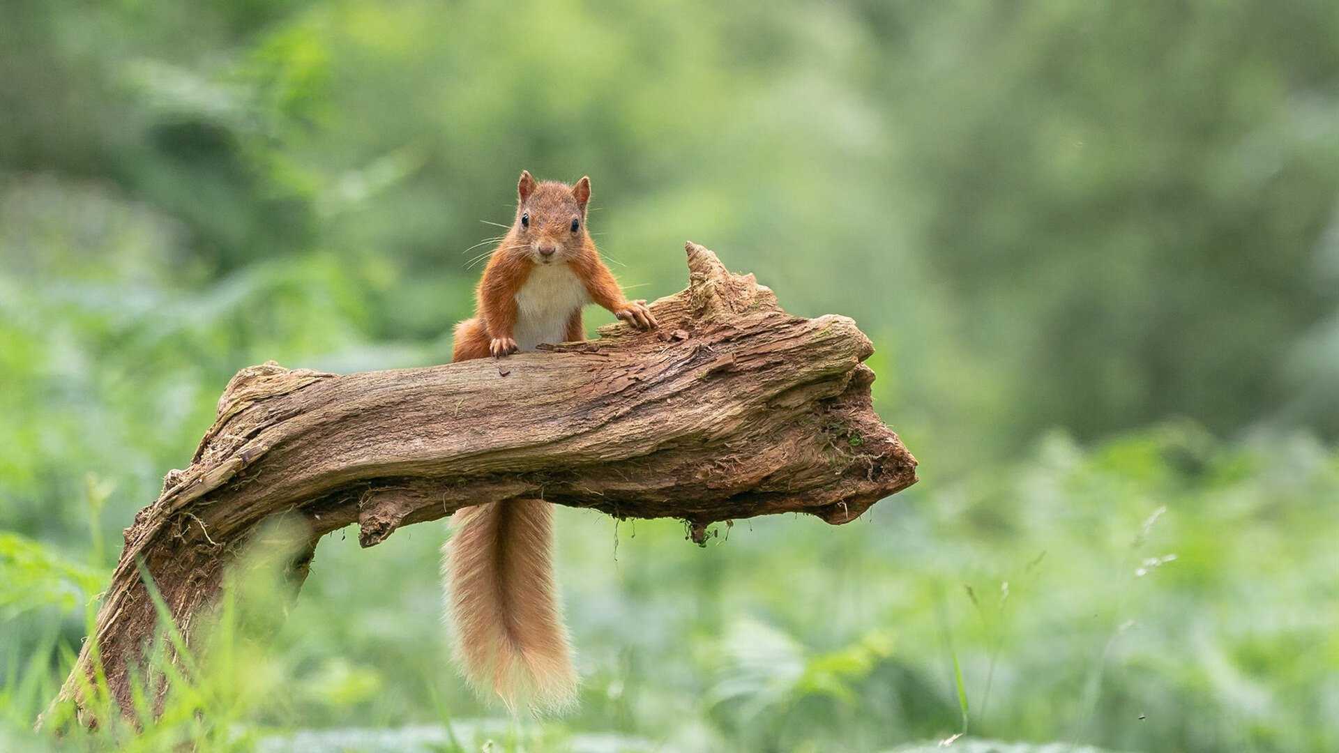 德甲球队高强度对抗中体能消耗与技术失误关系研究,德甲体能测试