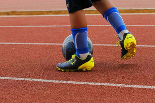 AYX GAMING-未来潜力：年轻球员的崛起路径，年轻球员是中国足球未来发展的基础