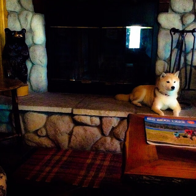 校园体育文化对学生创新能力的促进机制,校园体育文化对大学生体育精神的培养