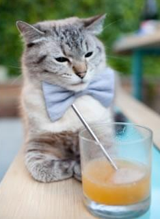 世界围棋赛赛程安排合理紧张激烈,世界围棋最新比赛结果