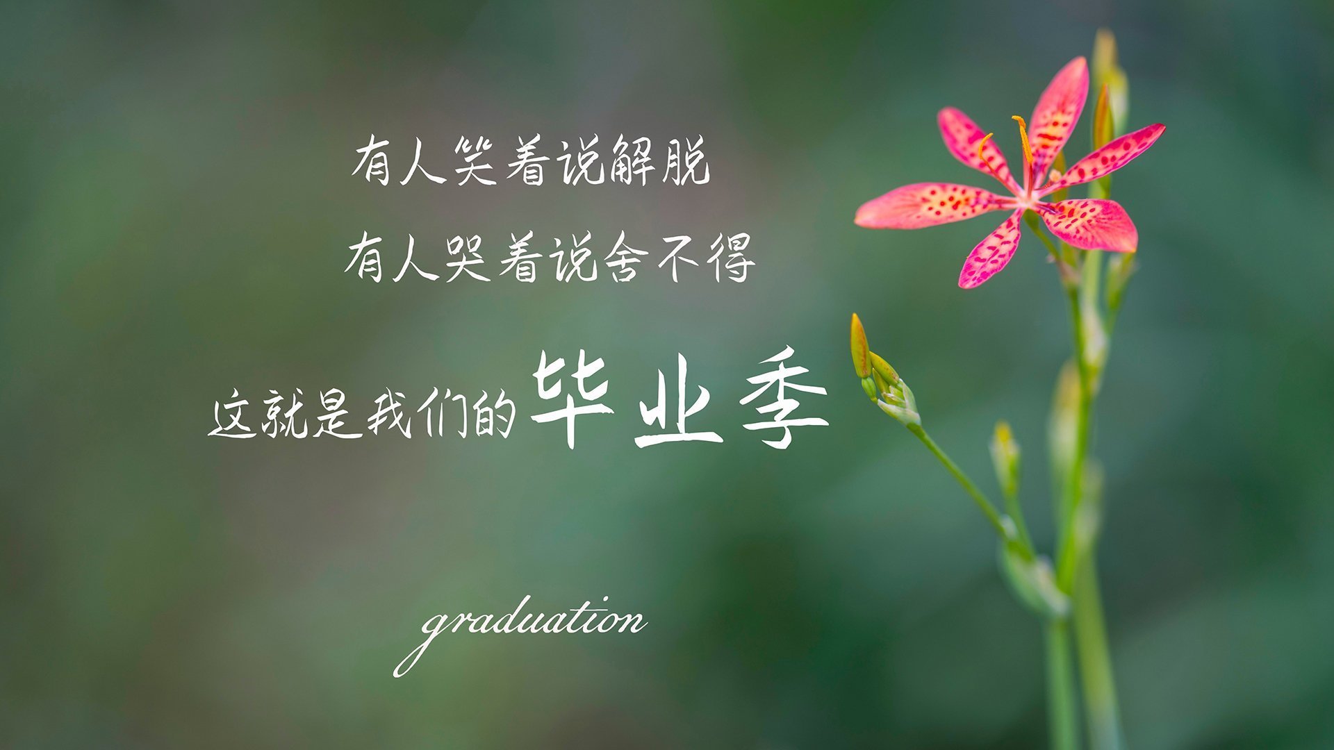 中国三人篮球男队适应国际比赛节奏,三人篮球赛中国队球员