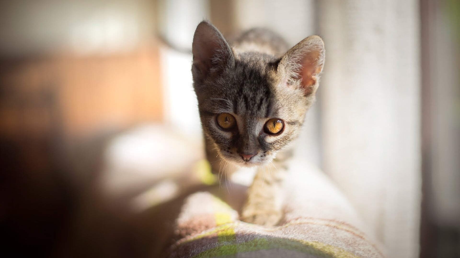 爱游戏下载-中场控制关键如何影响比赛节奏掌控，中场阶段