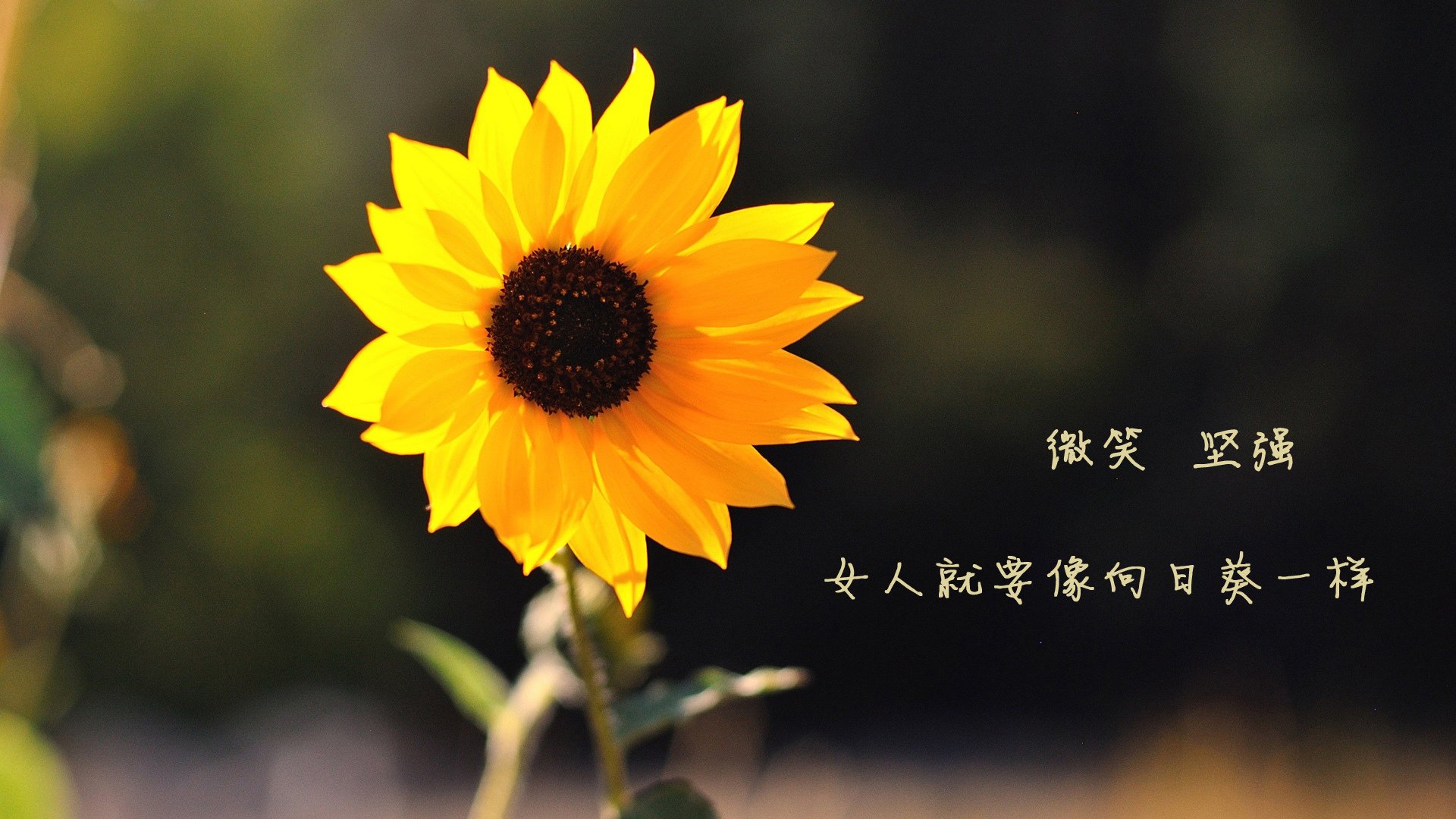 体育新闻中心深化体育赛事视频版权保护机制,体育赛事受著作权保护吗