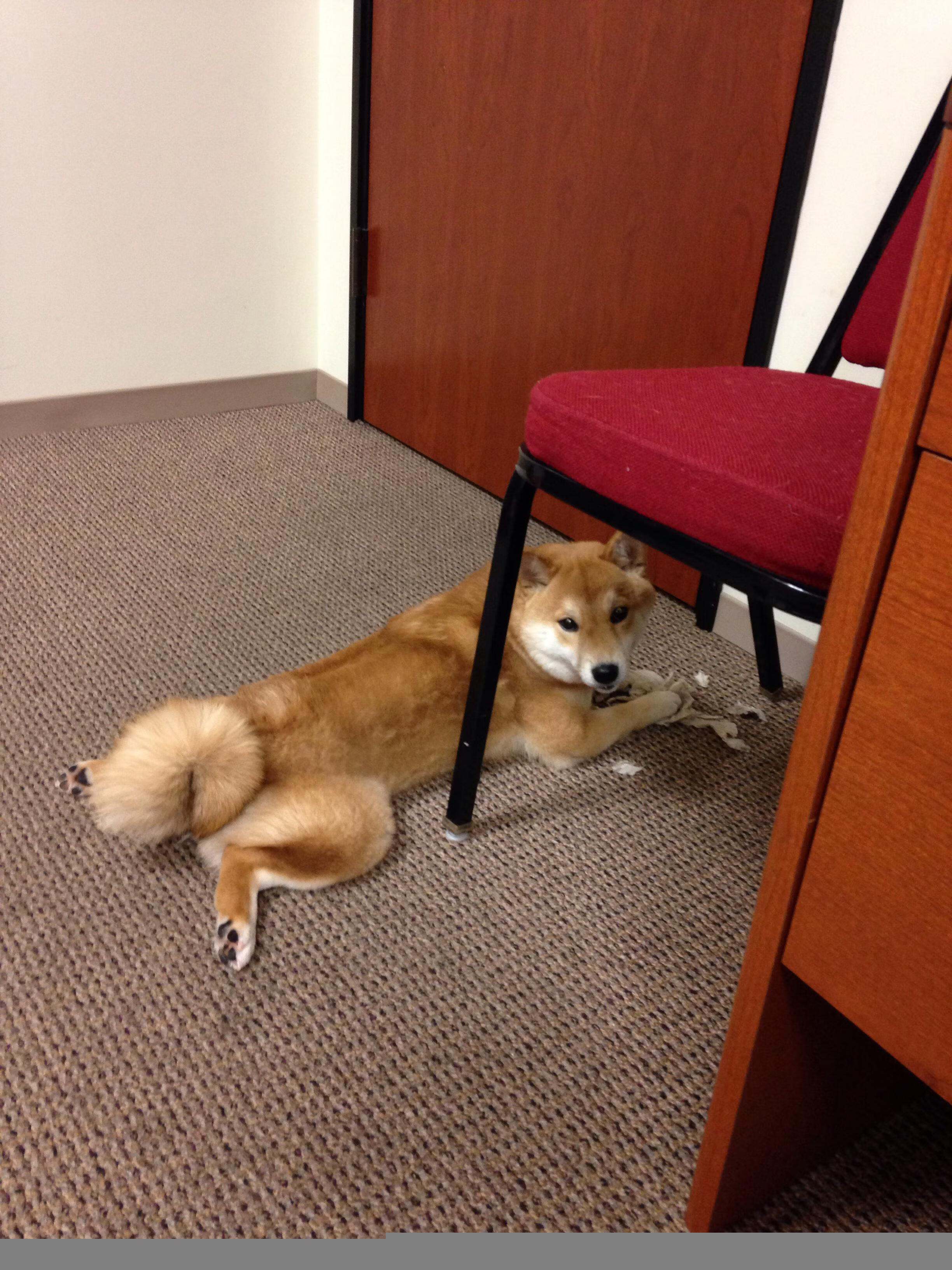 俱乐部投入回报评估体系尚未成熟