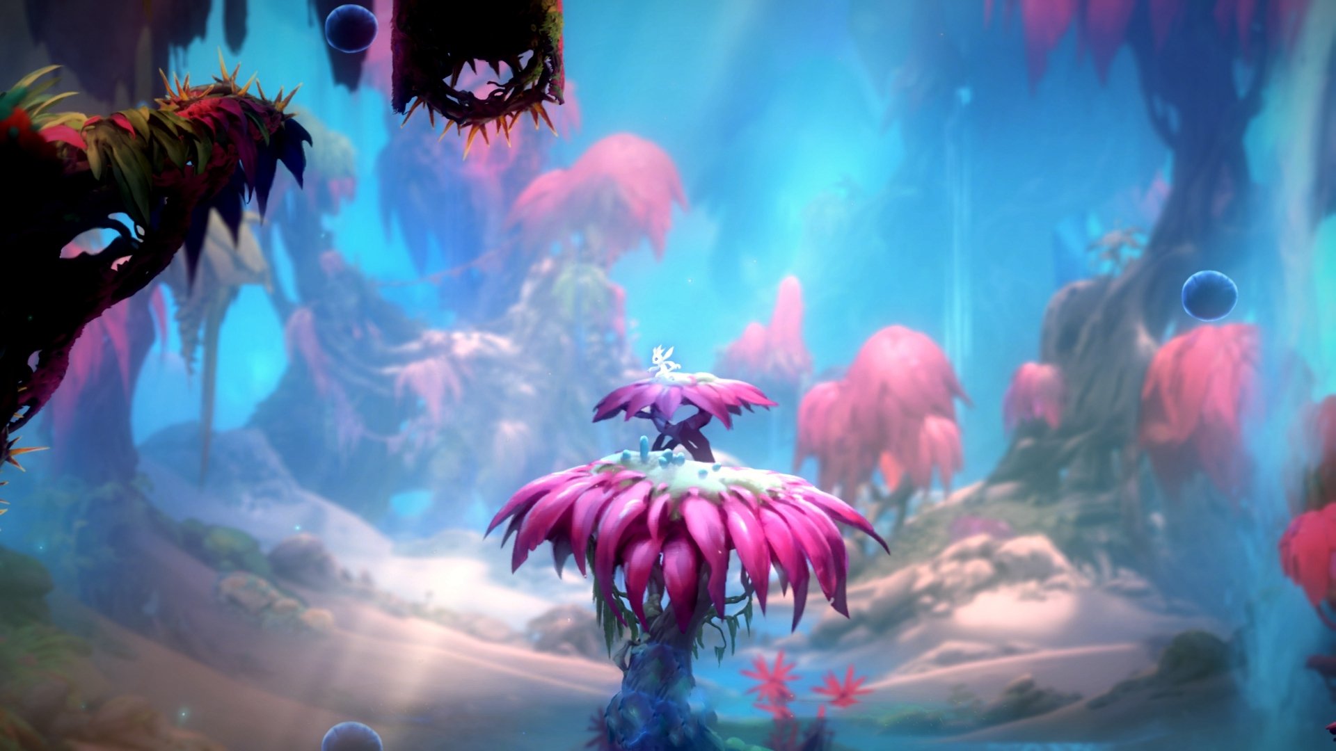 波兰队赛制解析:如何最大化利用赛制中的每一场比赛,波兰队阵型