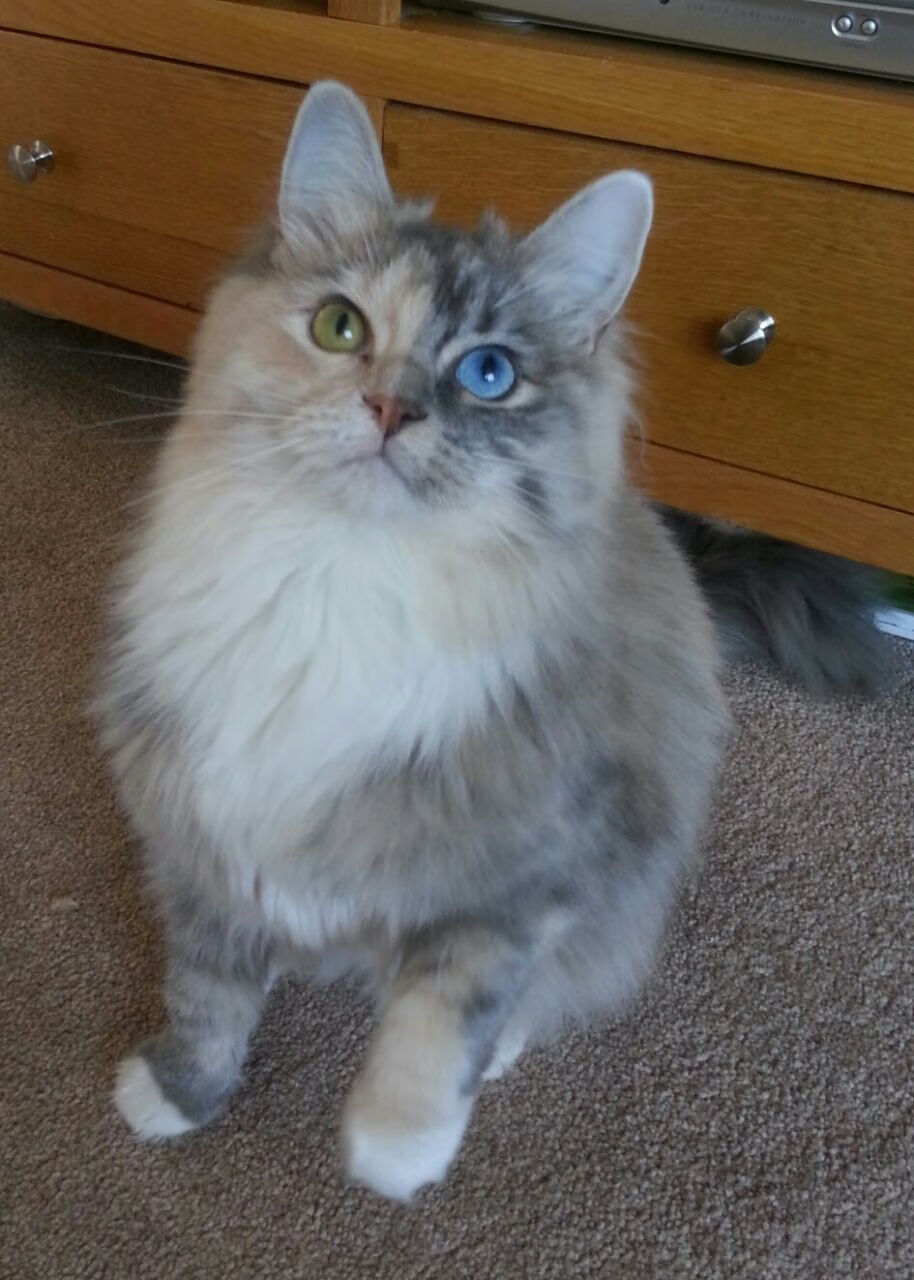 球员日常训练缺乏战术还原度训练