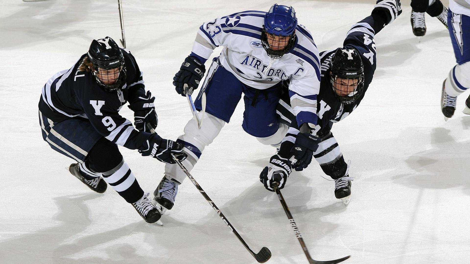 爱游戏官方-辽宁飞豹冲击三连冠卫冕路挑战重重，辽宁飞豹队标