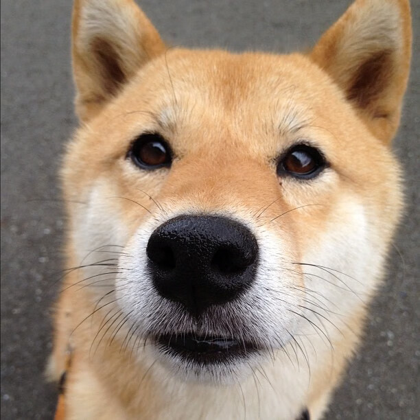 仰泳新秀吉尔吉斯斯坦表现超预期,运动员甘油