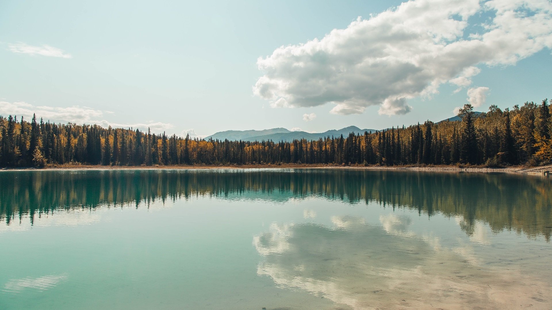 爱游戏综合娱乐-德甲黑马崛起：惊喜不断引发热议，德甲综述