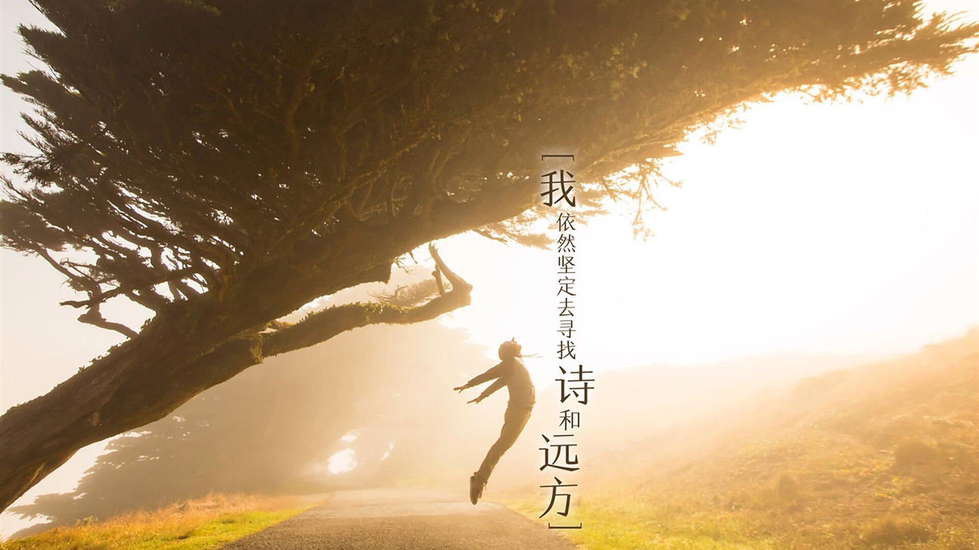 爱游戏app-曹缘精彩动作赢得满堂彩，曹缘跳舞