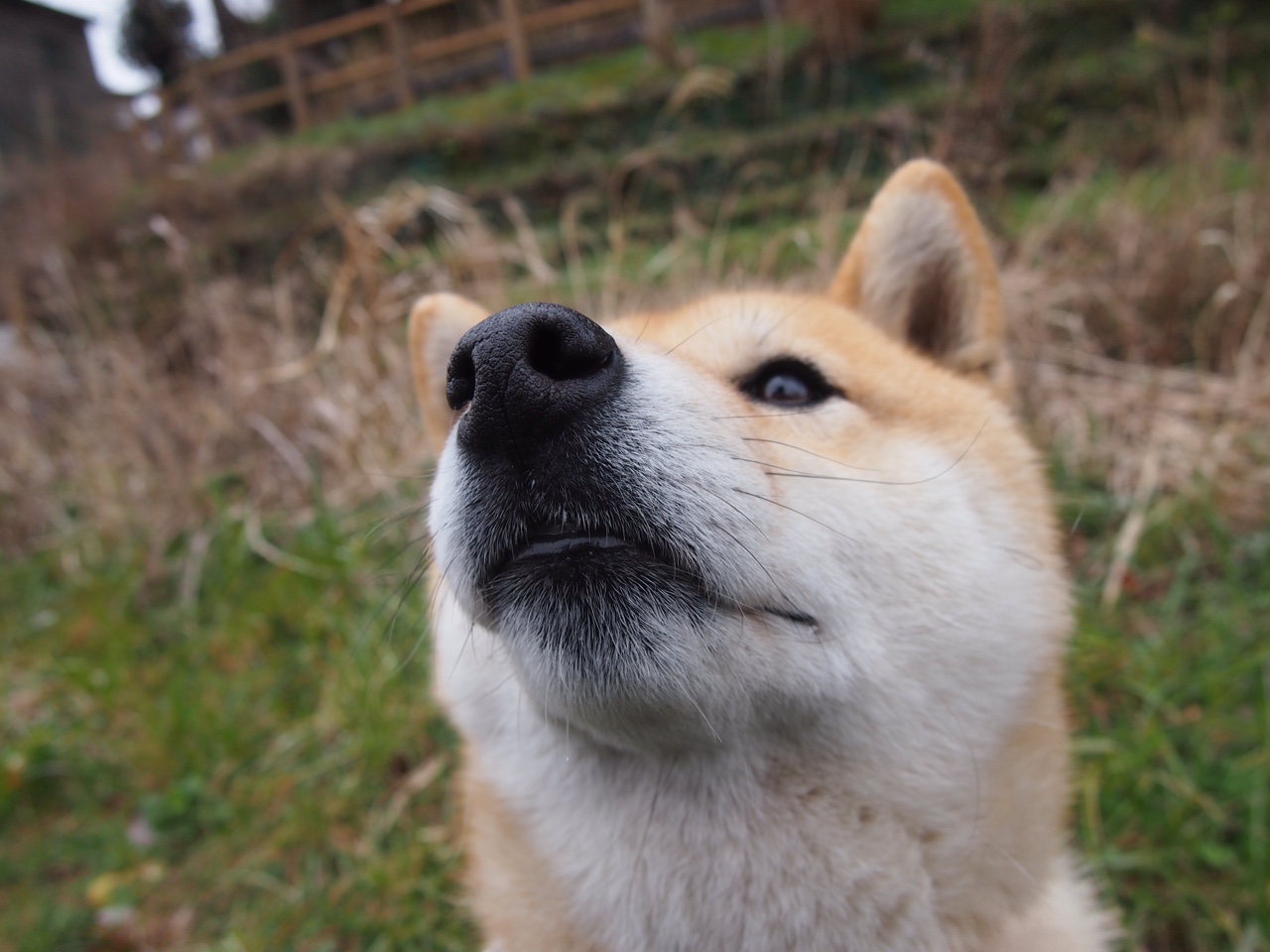 爱游戏体育app-法国队接力赛场风采尽显冠军潜质，法国队集锦