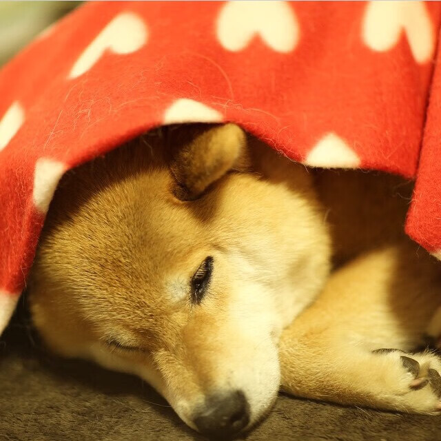 爱游戏电竞官网-科尔博决赛表现引发媒体高度关注，科尔博机械有限公司