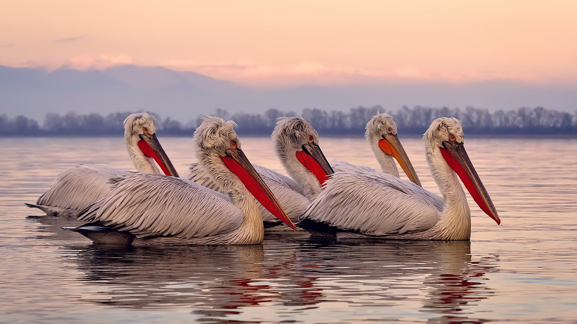 爱游戏电竞-陈艺文刷新个人最好成绩，陈艺文比赛视频
