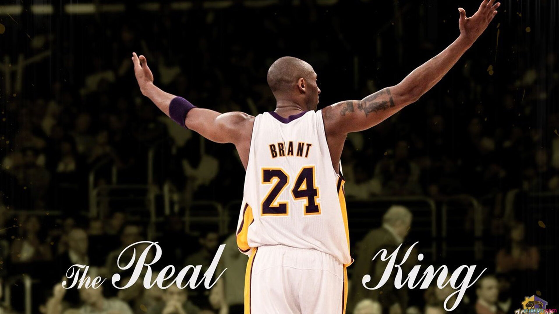 《《英雄联盟》2025年春季更新：新英雄“龙吟”正式上线》，英雄联盟新年版本